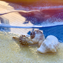 Load image into Gallery viewer, Beyond The Sea